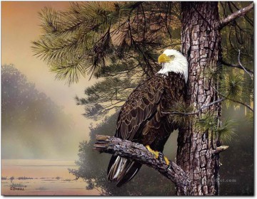  eagle Art - eagle at sunet birds